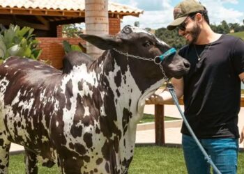 Murilo Huff arremata novilha de R$ 2 milhões em leilão