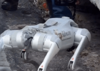 Prefeitura renova contrato com empresa responsável por realizar obras de drenagem, desafio silencioso da cidade