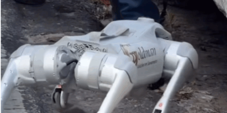 Prefeitura renova contrato com empresa responsável por realizar obras de drenagem, desafio silencioso da cidade