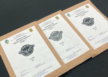 Anápolis Diário tem acesso à íntegra da investigação que levou sócio do  Portal 6 e ex-secretário de Comunicação Presos por gerir perfis de perseguição