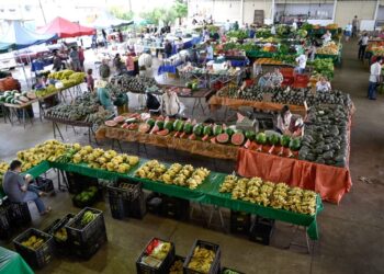 Servidora efetiva da Prefeitura denuncia sofrer perseguição política de gerente indicado por Carlim da Feira, e grava conversa