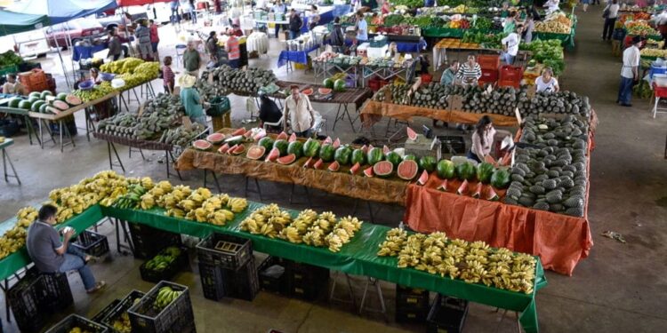 Servidora efetiva da Prefeitura denuncia sofrer perseguição política de gerente indicado por Carlim da Feira, e grava conversa