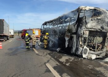 Ônibus pega fogo na BR-153 após deixar Anápolis rumo a Goiânia