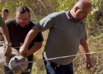 Mais de 100 jacarés são retirados da Lagoa Grande em Porangatu