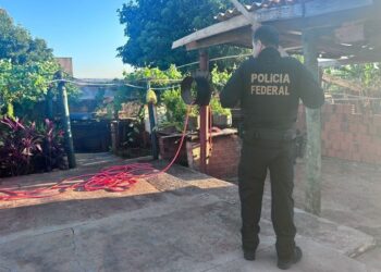 PF deflagra operação contra tráfico internacional de drogas pelos Correios