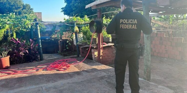 PF deflagra operação contra tráfico internacional de drogas pelos Correios