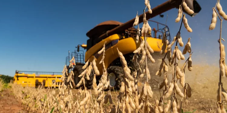 Inviabilidade da soja reacende debate sobre rompimento de contratos de arrendamento rural