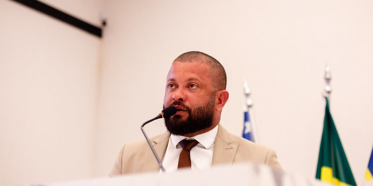 Tutores de cães e gatos poderão sepultar pets em jazigos da família em Anápolis se projeto na Câmara for aprovado