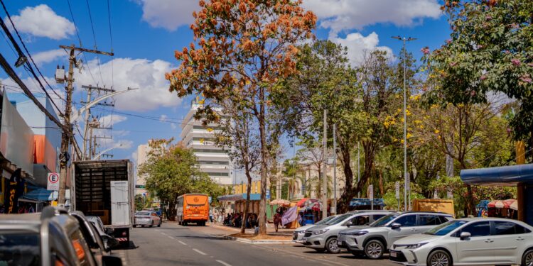 Prefeitura avança em planos para aterrar fiação em cinco ruas do Centro