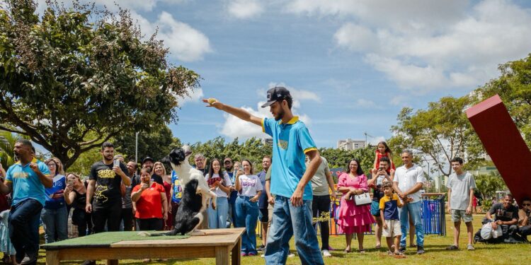 Novos parques e até academia ao ar livre redefinem Parque Ipiranga