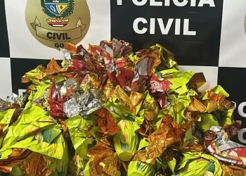 Motorista de aplicativo desaparece com 106 ovos de Páscoa para crianças carentes e esconde em sofá e geladeira
