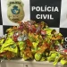 Motorista de aplicativo desaparece com 106 ovos de Páscoa para crianças carentes e esconde em sofá e geladeira