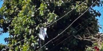 “Graças a Deus”: mãe relata melhora de criança que caiu de árvore ao tentar pegar pipa em Anápolis