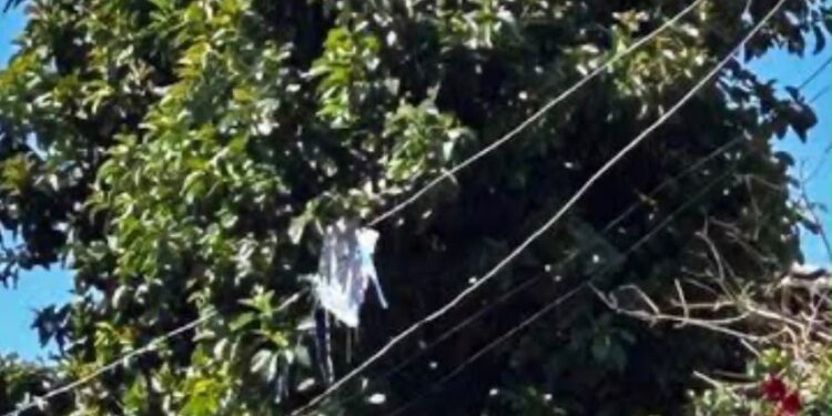 “Graças a Deus”: mãe relata melhora de criança que caiu de árvore ao tentar pegar pipa em Anápolis