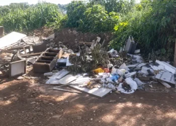 Associação quer criação de parque ecológico para proteger nascentes do Córrego Água Fria