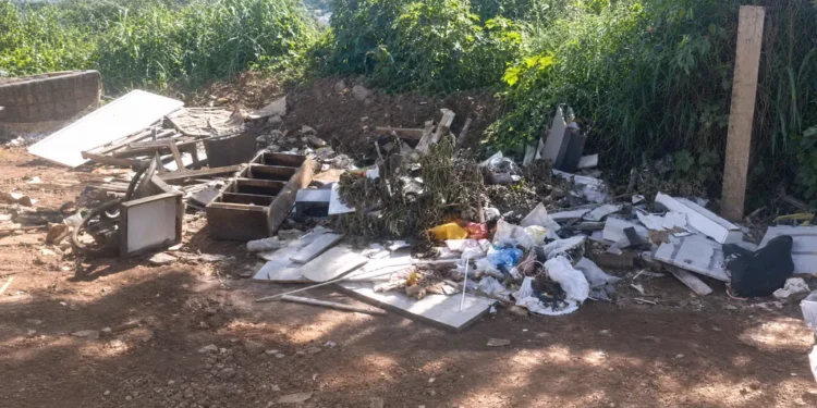 Associação quer criação de parque ecológico para proteger nascentes do Córrego Água Fria