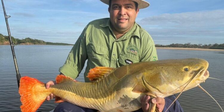 Domínio de Naves na Goiás Turismo fica comprometido após operação policial contra seu indicado