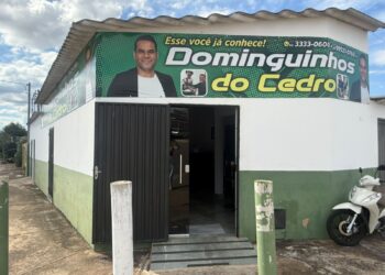Domingos Paula promove mutirão de castração gratuita para cães e gatos