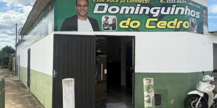 Domingos Paula promove mutirão de castração gratuita para cães e gatos