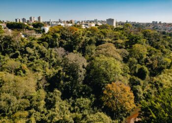 “Anápolis não é uma Maringá do Cerrado porque não quer”, diz ambientalista