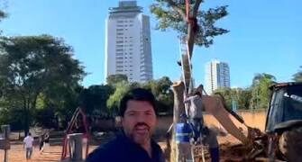 Anápolis tem iniciativa inédita de transplante de árvores