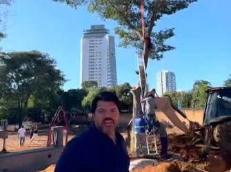 Anápolis tem iniciativa inédita de transplante de árvores