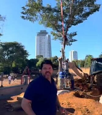 Anápolis tem iniciativa inédita de transplante de árvores