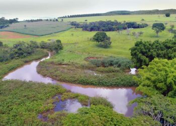 Super El Niño coloca Anápolis sob risco de escassez hídrica