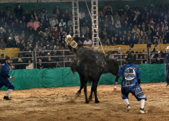 Rodeio de R$ 2,3 milhões teria gerado  lucro privado com uso de espaços públicos