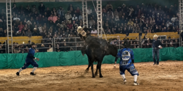 Rodeio de R$ 2,3 milhões teria gerado lucro privado com uso de espaços públicos