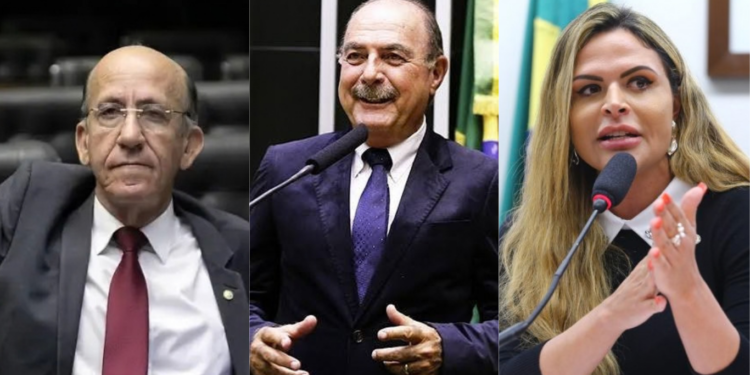 Quanto cada deputado investiu em Anápolis?