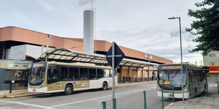 Plano para o transporte coletivo inclui sete novos terminais